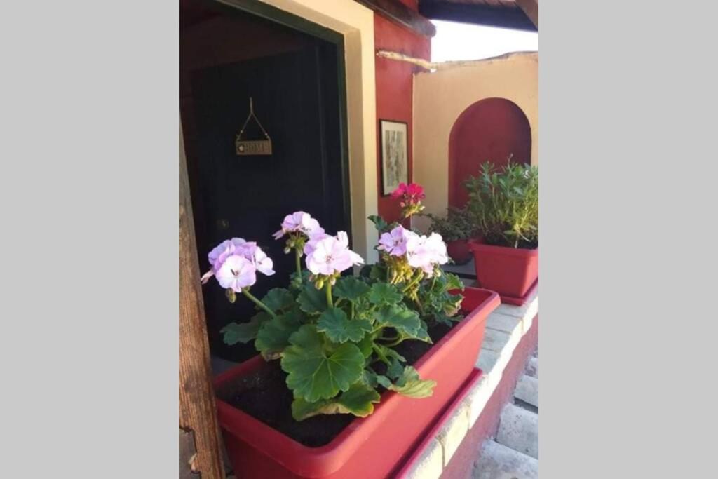 Green Hill Studio Corfu Town Corfu (city) Exterior foto